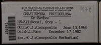 Image Associated With the Occurence
